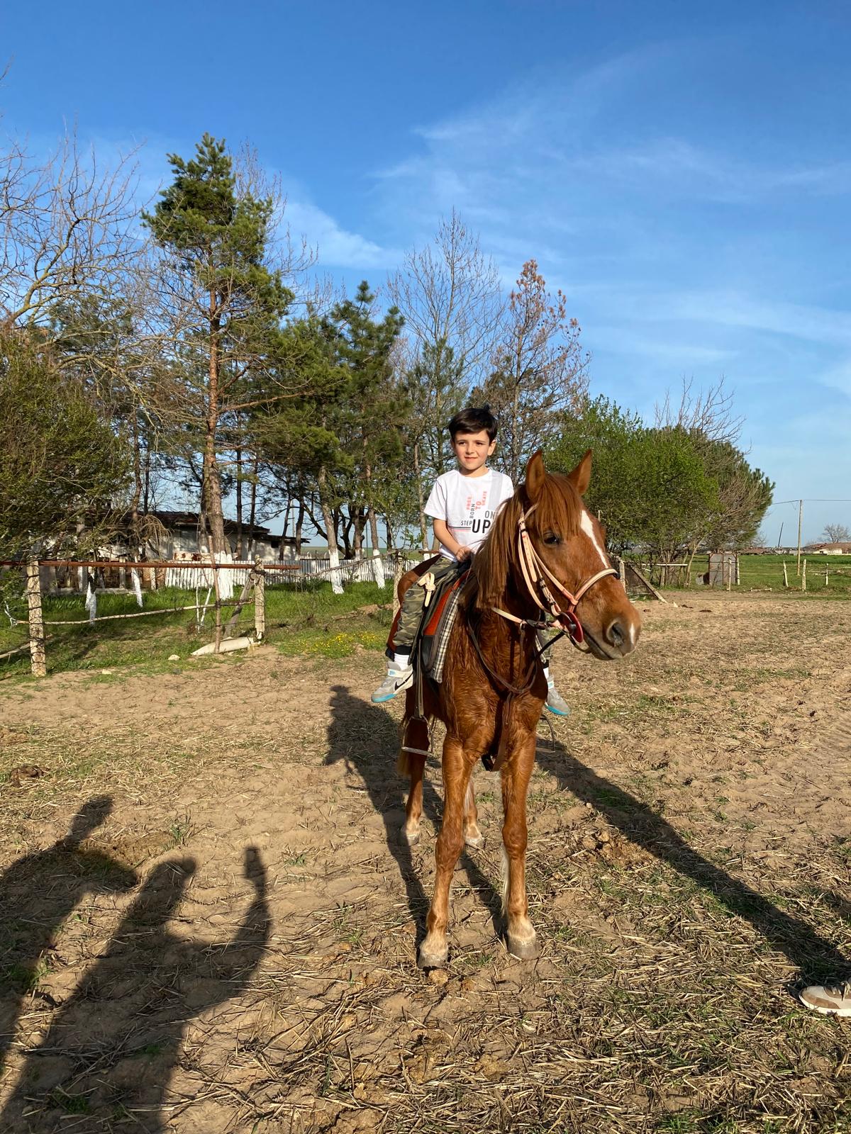 Hizmet Galerisi