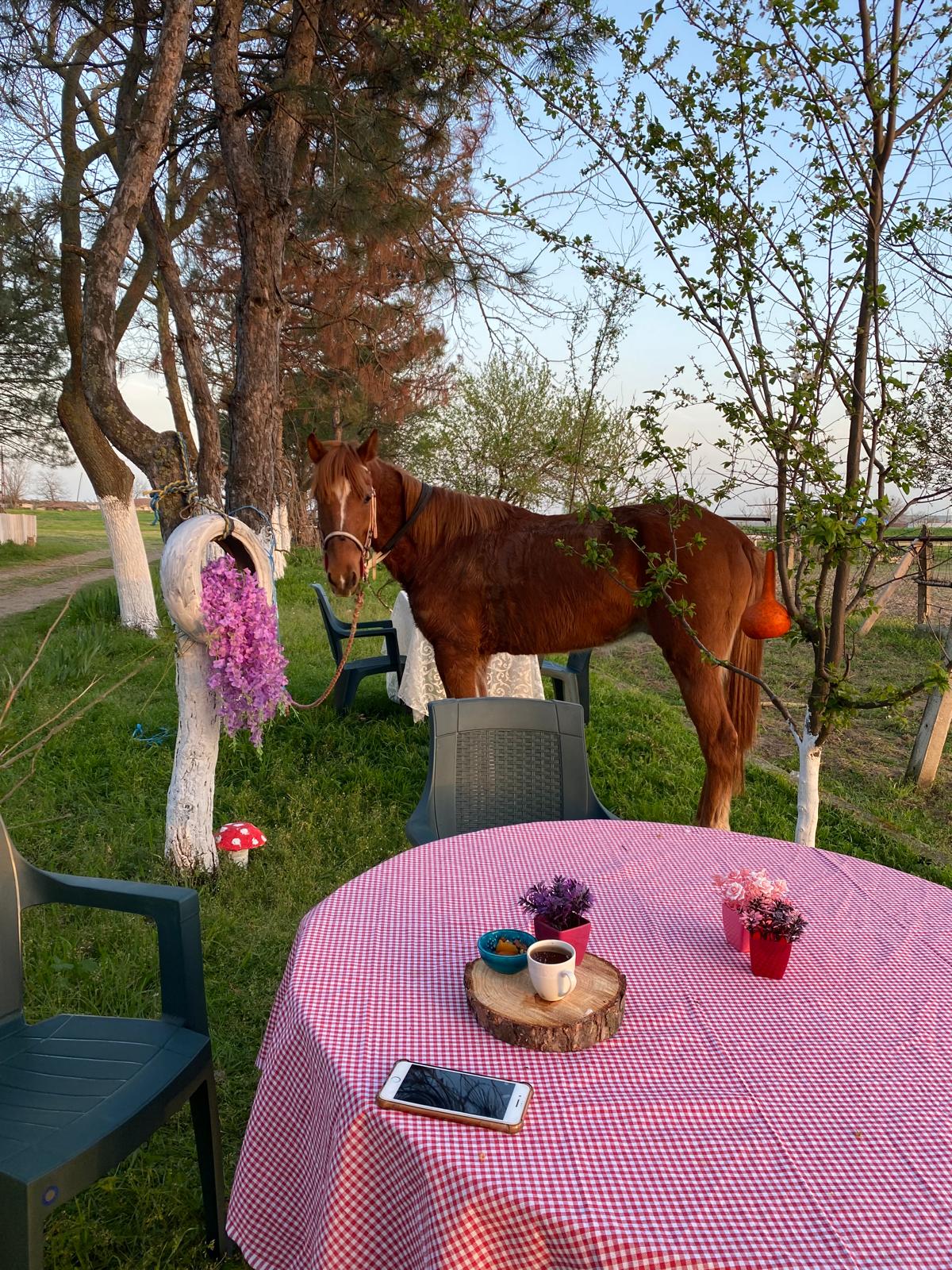 Hizmet Galerisi