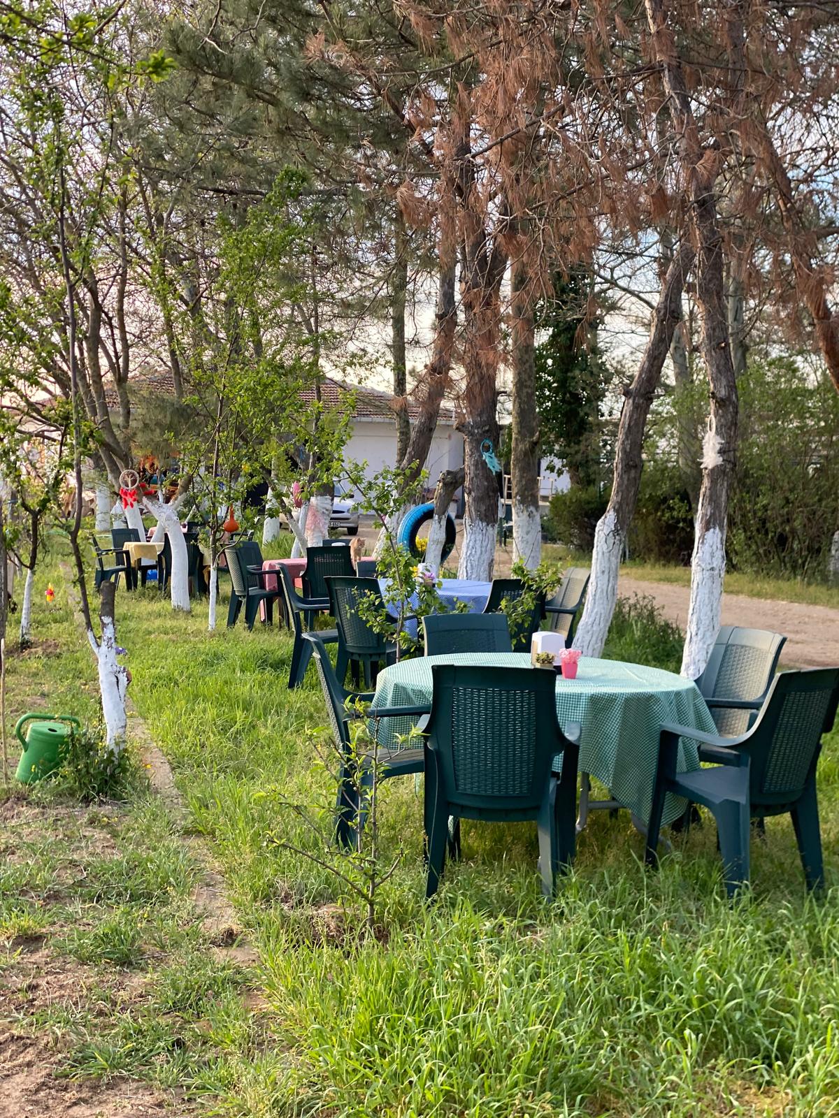 Hizmet Galerisi