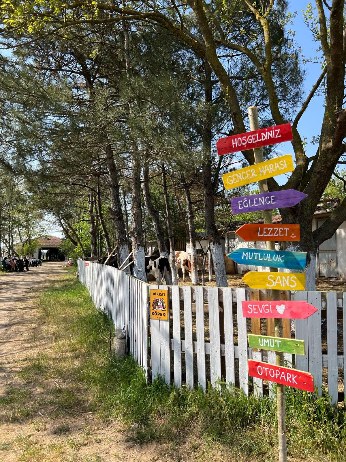 Hizmet Galerisi
