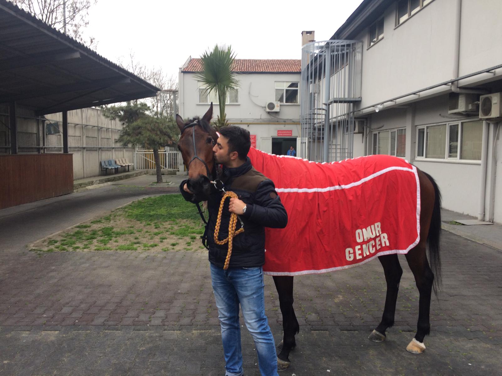 Hizmet Galerisi